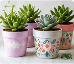 Painted Clay Pots